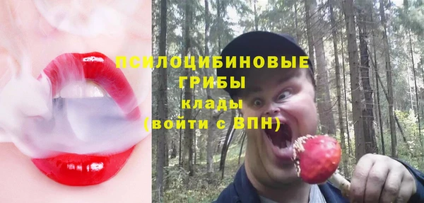 эйфоретик Абаза