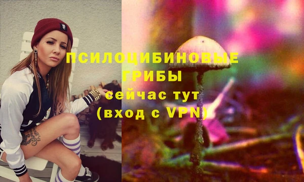мдпв Протвино