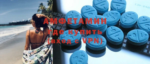 прущие грибы Приозерск